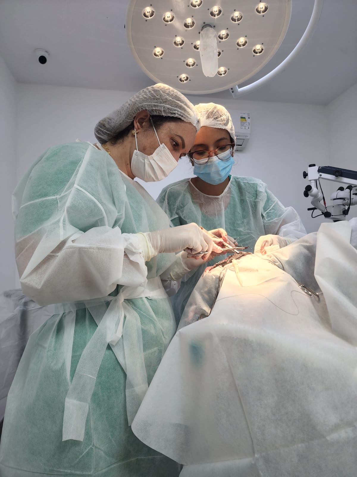 Cirurgias veterinárias